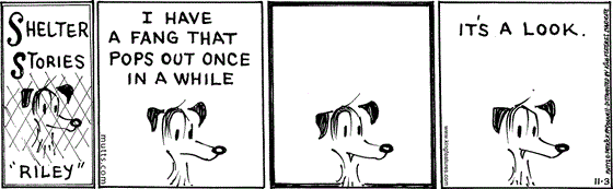 November 3 2025, Daily Comic Strip: In this Shelter stories MUTTS strip, a dog named Riley says, "I have a fang that pops out once in a while." His snaggletooth appears, and he says, "It's a look."