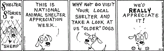 November 4 2024, Daily Comic Strip: In this Shelter Stories comic, a dog named Shemp says, "This is National Animal Shelter Appreciation Week. Why not go visit your local shelter and take a look at us 'older' dogs. We'd really appreciate it!"