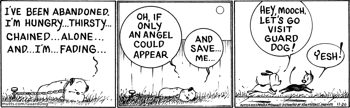November 20 2023, Daily Comic Strip