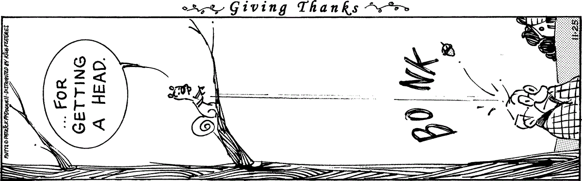 November 25 2025, Daily Comic Strip