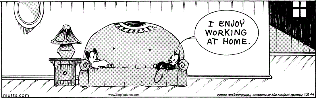  December 4 2024, Daily Comic Strip: In this MUTTS comic, Mooch and Earl are lounging on the couch when Mooch declares, "I enjoy working at home."