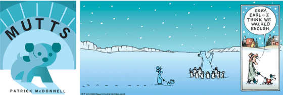 December 7 2025, Sunday Comic Strip: In this colorful MUTTS strip, Ozzie and Earl walk through the snow until they see a polar bear surrounded by penguins. Ozzie says, "Okay, Earl, I think we walked enough."