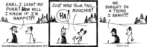 December 11 2024, Daily Comic Strip: In this MUTTS strip, a sad Mooch says, "Earl, I losht my purr! How will I know if I'm happy!?!" Earl turns around and says, "Just wag your tail, Moochie!" Mooch replies, "Ha! He doesn't do a thing I shay!"