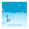 PREORDER: 2027 Wall Calendar