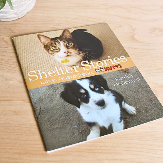 Shelter Stories 'BLAD' Book Collectible