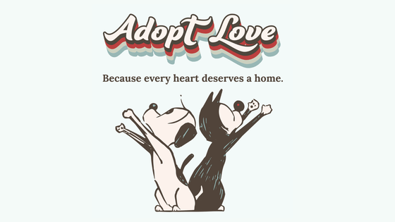 Add a Donation for the ACC STAR Fund - MUTTS