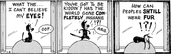 January 8 2024, Daily Comic Strip: In this MUTTS comic, Mooch looks out the window and is shocked, "What the ... I can't believe my eyes! Oof. You've got to be kiddin'! Has the world gone completely inshane!?!" He collapses onto his chair and continues, "How can peoples shtill wear fur!?!" 