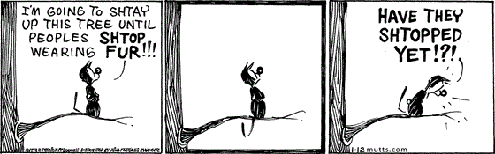 January 12 2024, Daily Comic Strip: In this MUTTS comic, Mooch, standing high on a tree branch, declares, "I'm going to shtay up this tree until peoples shtop wearing fur!!!" He pauses indignantly for a second, then shouts down, "Have they shtopped yet!?!" 
