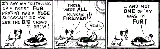 January 13 2024, Daily Comic Strip: In this MUTTS strip, Mooch, while lounging in bed, tells Earl, "I'd say my 'shtaying up a tree' fur protest was a huge successh! Did you see the big crowd I drew?" Earl replies, "Those were all rescue firement!!!" Mooch replies, "Yesh ... and not one of 'em was in fur!"