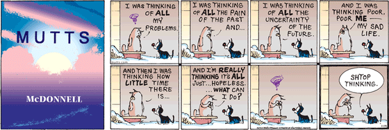 January 14 2024, Sunday Comic Strip: In this colorful MUTTS comic, a grumpy Sourpuss tells Mooch, "I was thinking of all my problems. I was thinking of all the pain of the past, and I was thinking of all the uncertainty of the future. And I was thinking poor, poor me — my sad life. And then I was thinking how little time there is ... and I'm really thinking it's all just ... hopeless. What can I do?" Mooch advises, "Shtop thinking." 