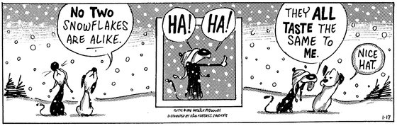 January 17 1998, Daily Comic Strip