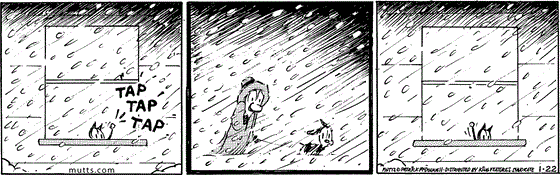 January 22 2024, Daily Comic Strip: In this MUTTS comic, Mooch taps on the window from inside then waves at Ozzie and Earl walking through a snowstorm outside. 
