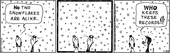 January 23 2024, Daily Comic Strip: In this MUTTS strip, Earl and Mooch are staring up at the snow when Earl says, "No two snowflakes are alike." Mooch questions, "Who keeps these records!?!" 