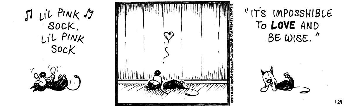 January 24 2001, Daily Comic Strip