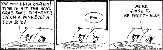 January 29 2024, Daily Comic Strip: In this MUTTS strip, Mooch and Earl are in bed when Earl says, "Yes, Mooch, hibernation! Time to hit the hay! Grab some shut-eye! Catch a wink! Cop a few Zs!" Mooch replies, "Foo. We're going to be pretty busy." 