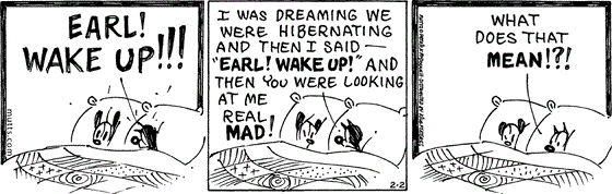 February 2 2024, Daily Comic Strip: In this MUTTS comic, Mooch and Earl are in bed when Mooch shouts, "Earl! Wake up!!! I was dreaming we were hibernating and then I said — 'Earl! Wake up!' and then you were looking at me real mad!" Then he ponders, "What does that mean!?!" 