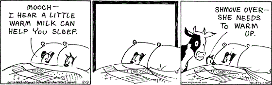 February 3 2024, Daily Comic Strip: In this MUTTS strip, Earl and Mooch are in bed when Earl says, Mooch — I hear a little warm milk can help you sleep." Mooch gets out of bed, returns with a cow, then tells Earl, "Shmove over — she needs to warm up." 