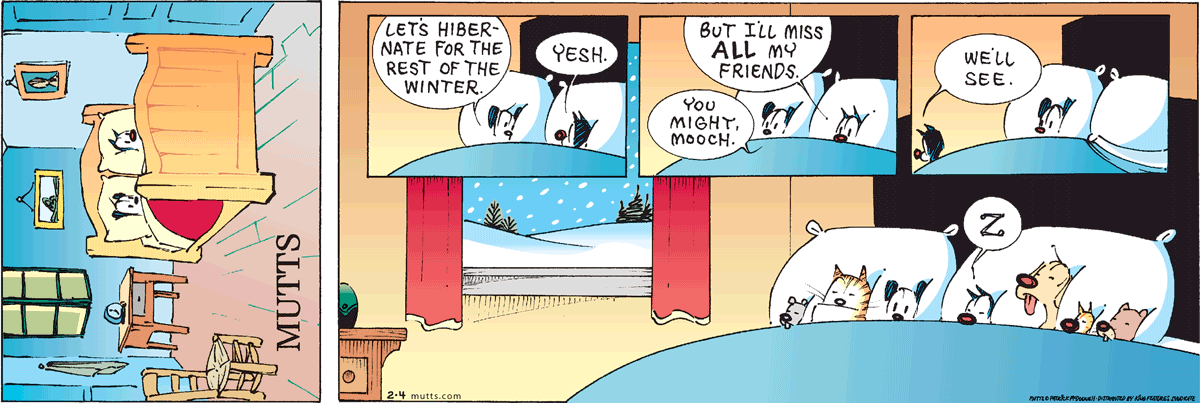 February 4 2024, Sunday Comic Strip: In this colorful MUTTS comic, Mooch and Earl are getting ready for bed when Earl says, 