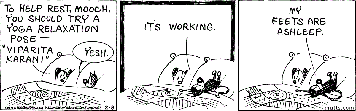 February 8 2024, Daily Comic Strip