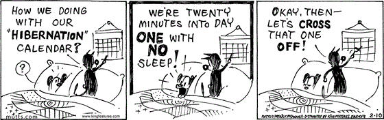 February 10 2024, Daily Comic Strip: In this MUTTS comic, Mooch and Earl are in bed when Mooch asks, "How we doing with our 'hibernation' calendar?" Earl replies, "We're twenty minutes into day one with no sleep!" Much to Earl's annoyance, Mooch says, "Okay, then — let's cross that one off!"