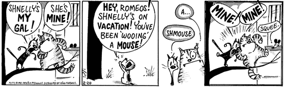 February 20 1998, Daily Comic Strip
