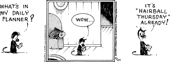 February 29 2024, Daily Comic Strip: In this MUTTS strip, Mooch looks in his datebook and asks, "What's in my daily planner? Wow ... It's 'hairball Thursday' already!"