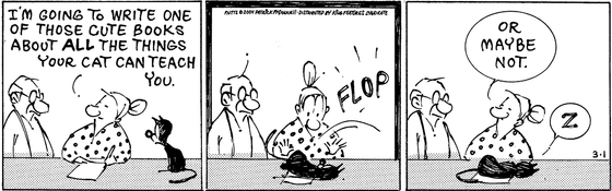 March 1 2004, Daily Comic Strip