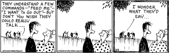 March 5 2003, Daily Comic Strip