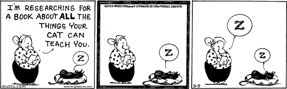 March 5 2024, Daily Comic Strip: In this MUTTS strip, Millie looks down at a sleeping Mooch and says, "I'm researching for a book about all the things your cat can teach you." Mooch continues to snooze until Millie follows suit and begins napping.