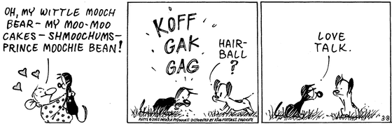 March 8 2002, Daily Comic Strip