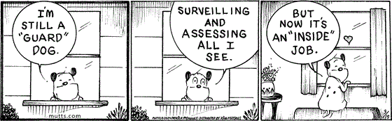 March 15 2024, Daily Comic Strip: In this MUTTS strip, Sparky looks out the window and says, "I'm still a 'guard' dog. Surveilling and assessing all I see. But now it's an 'inside' job."