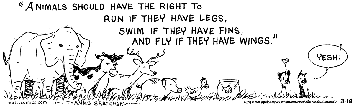 March 18 2006, Daily Comic Strip