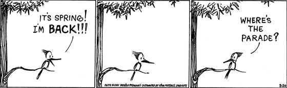 March 20 2001, Daily Comic Strip