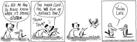 March 21 1995, Daily Comic Strip