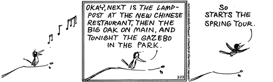 March 23 2002, Daily Comic Strip