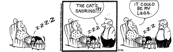 March 26 2001, Daily Comic Strip