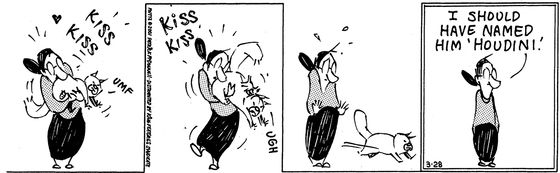 March 28 2001, Daily Comic Strip