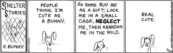 March 28 2024, Daily Comic Strip: In this Shelter Stories strip, a rabbit named E. Bunny says, "People think I'm cute as a bunny. So some buy me as a gift, lock me in a small cage, neglect me, then abandon me in the wild. Real cute."