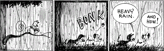 April 2 2024, Daily Comic Strip: In this MUTTS comic, Mooch and Earl are walking in the rain when Bip hits Earl in the head with an acorn. Mooch says, "Heavy rain." and Earl agrees, "And how!"