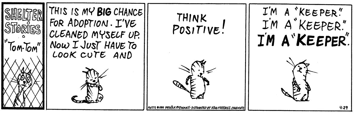 April 29 1999, Daily Comic Strip