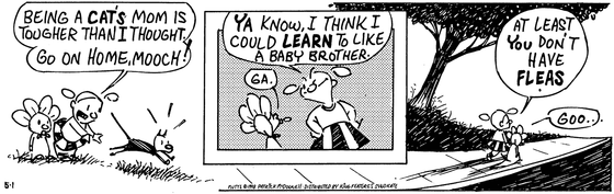 May 1 1998, Daily Comic Strip