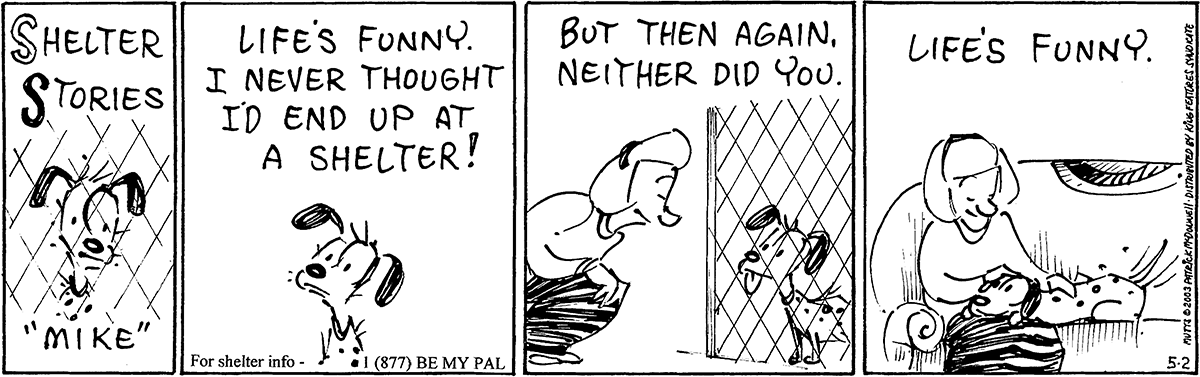 May 2 2003, Daily Comic Strip