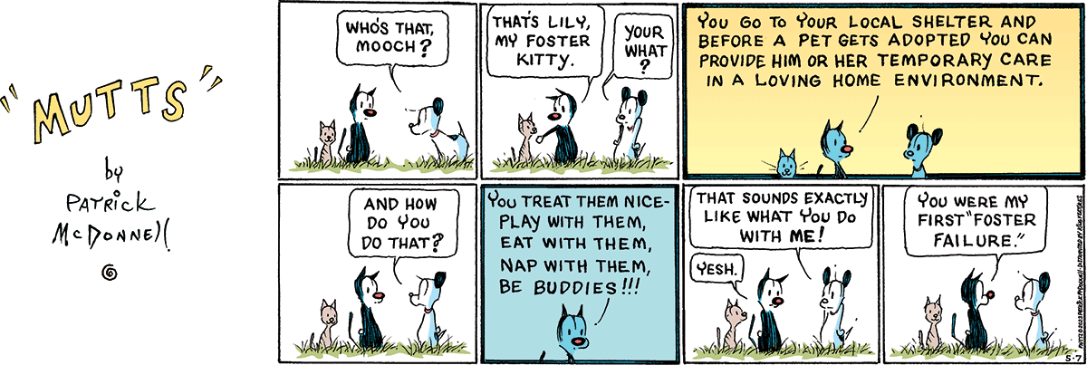 May 7 2023, Sunday Comic Strip – MUTTS