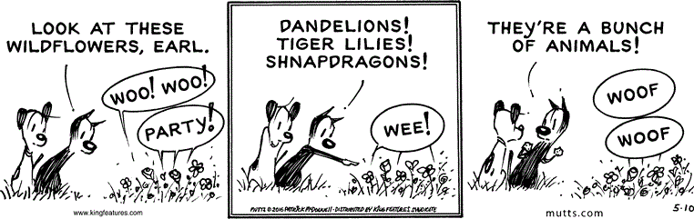 May 10 2016, Daily Comic Strip – MUTTS