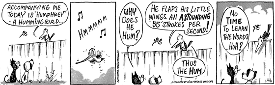May 11 1995, Daily Comic Strip