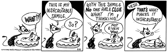 May 14 1998, Daily Comic Strip