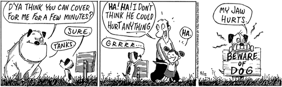 May 15 1996, Daily Comic Strip
