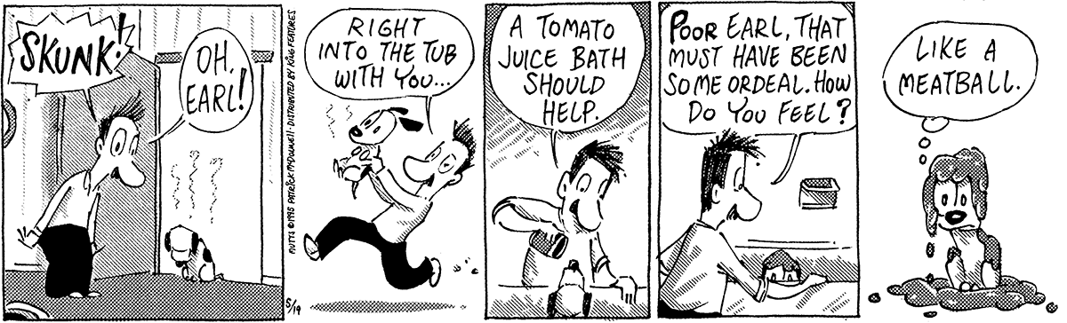 Formal Operational Stage Comic