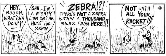 May 25 1999, Daily Comic Strip