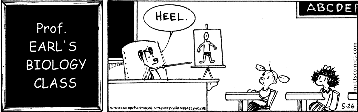 May 26 2010, Daily Comic Strip – MUTTS